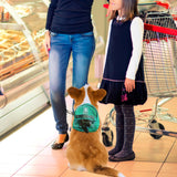 Tailtote Dog Hiking Backpack Lightweight, Adjustable, and Waterproof Pet Poopbag Holder for Outdoor Adventures,Puppy Training School or Everyday Walks (Small)