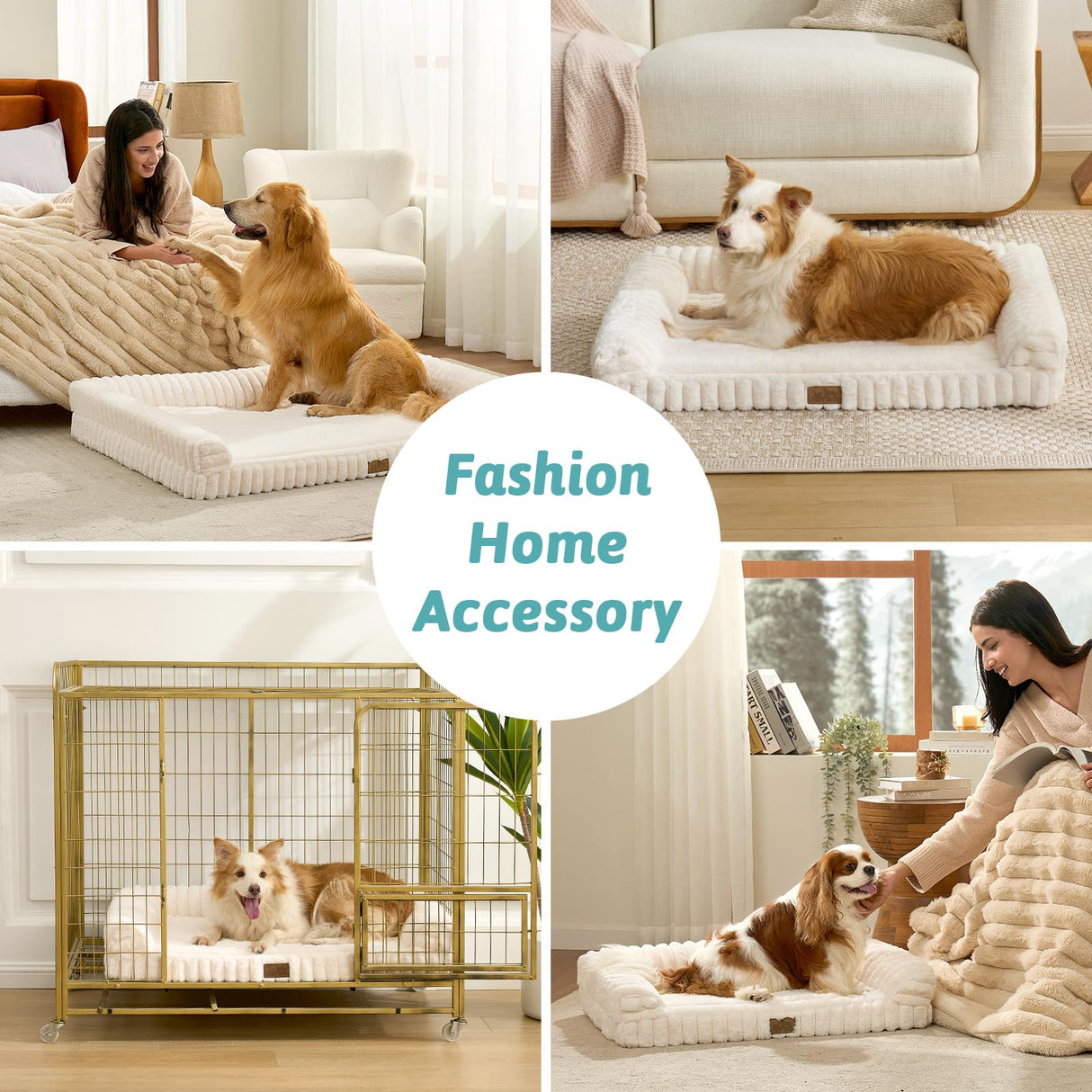 COZY KISS Cute Dog Bed for Medium Dogs, Faux Rabbit Fur Orthopedic Foam Dog Bed with Sides, Removable Washable Cover & Waterproof Lining, Comfortable Pet Couch, Cream (36" L x 27" W x 6.5" Th)