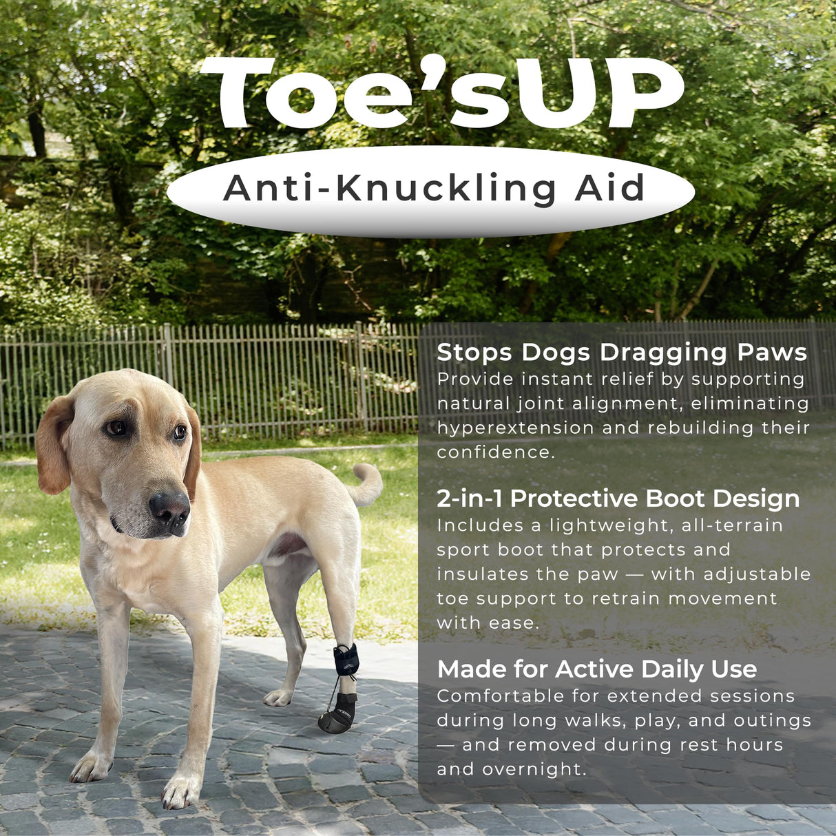 WALKABOUT™ Toe'sUP No Knuckling Boot Brace for Dogs Dragging Paws | Corrective Dog Shoes to Safely Lift Toes