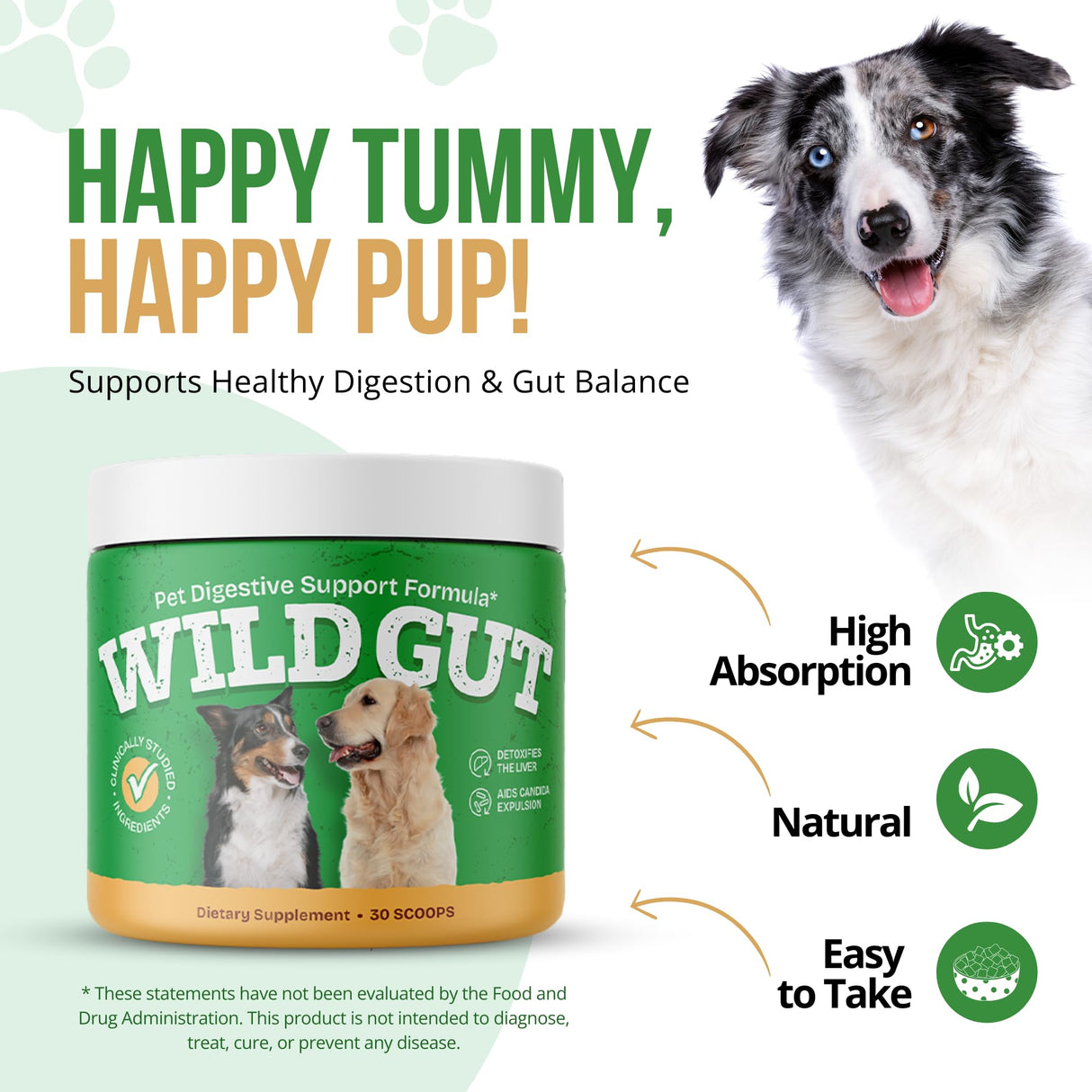 Wild Gut - Natural Probiotic Supplement for Pets | Supports Digestive Health & Gut Microbiome | 8 Probiotic Strains | 1 Bottle