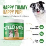 Wild Gut - Natural Probiotic Supplement for Pets | Supports Digestive Health & Gut Microbiome | 8 Probiotic Strains | 1 Bottle