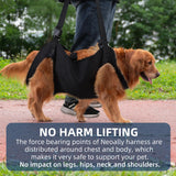 Duuclume Dog Lift Harness, Emergency Backpack Pet Legs Support & Rehabilitation Sling Carrier, Adjustable Lifting Straps Carrier for Senior Elderly Dogs Joint Injuries Arthritis XL