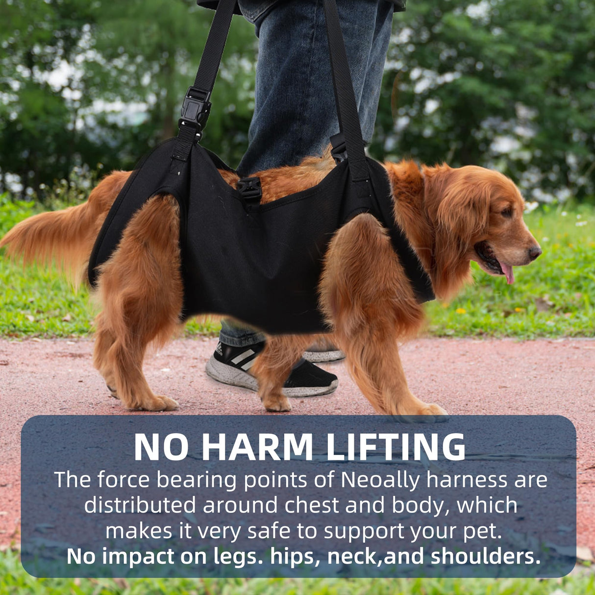 Full Body Lift Harness for Dogs,Canine Support Rehabilitation Dog Carrier Slings with Handles,Adjustable Lifting Straps Full Body Dog Lifting Harness (Medium)