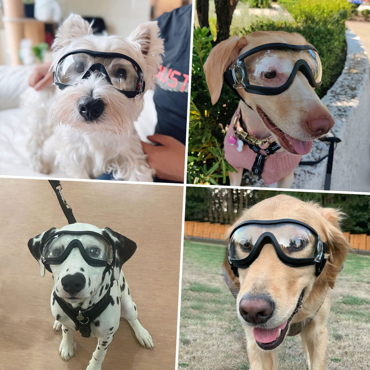 Billionchains Pack of 2 Dog Goggles Dog Sunglasses for Medium to Large Breed Anti-UV Eye Protection with Adjustable Straps- Silver & Transparent
