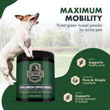 Load image into Gallery viewer, Pure Green Lipped Mussel Powder for Dogs and Cats - 100% New Zealand Green Lipped Mussels - Anti Inflammatory Supplement &amp; Vitamins to Help Your Pet Deal with Arthritis, Joint Pain Relief - 75 Grams
