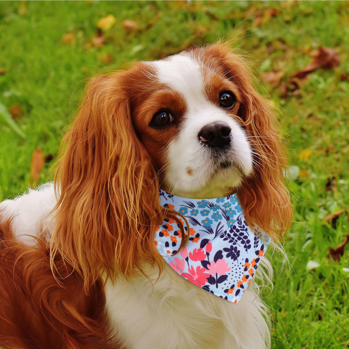 72 Packs Dog Bandanas Bulk Buffalo Plaid Cat Bandana Summer Scarf Triangle Fruit Drool Bibs Washable Adjustable Kerchief Dog Cat Bandana for Beach Small Medium Pet Supplies(Flower)