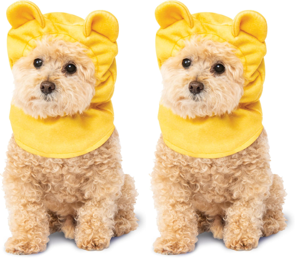 Rubie's Unisex Adult Winnie The Pooh Party Goods, Winnie, Small Medium US (Pack of 2)