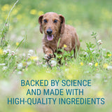 Nutramax Denosyl Liver and Brain Health Supplement for Medium Dogs - With S-Adenosylmethionine (SAMe), 30 Tablets