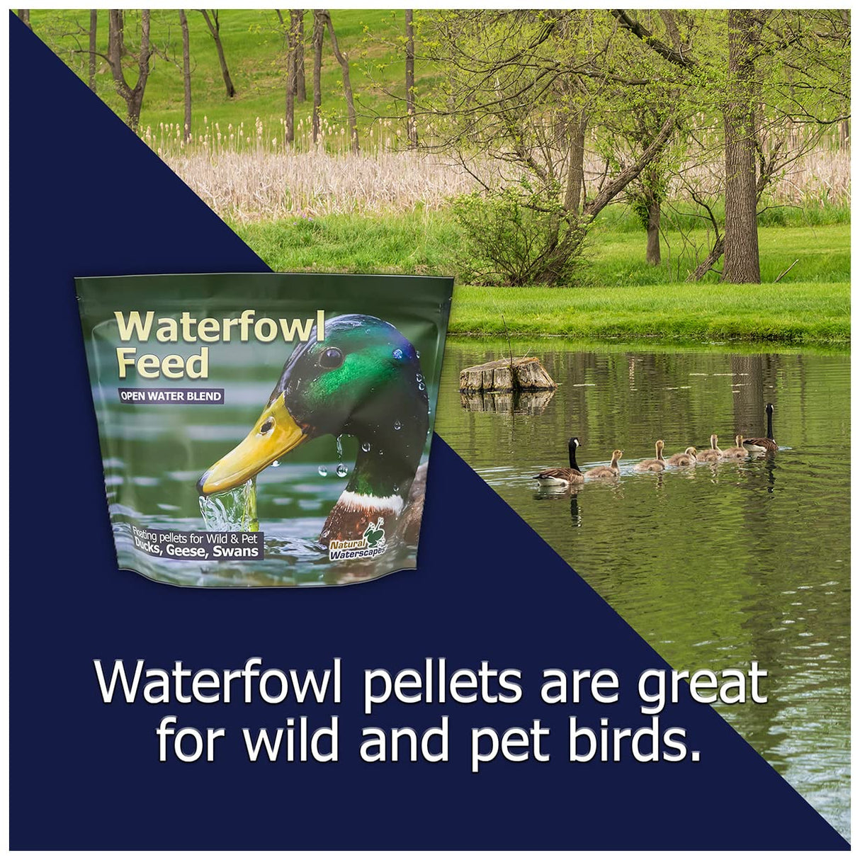 Waterfowl Feed Open Water Diet 40 lb | for Feeding Ducks Geese Swans | Floating Pellets with Niacin for Ducks