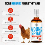 SILVER GRADE Wound Spray for Chicken from Birds & Chicken Antibiotics Alternative to Help with Pecking Sores, Bumblefoot, Cuts – Poultry Spray with Silver – GMOs Free – 4-Oz Bottle