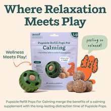 Load image into Gallery viewer, WOOF Pupsicle Refill Pops for Calming - Long-Lasting Refills for The Pupsicle Toy to Promote Calm - Calming Dog Treats - Magnesium for Dogs- Large Pops - 7 Count
