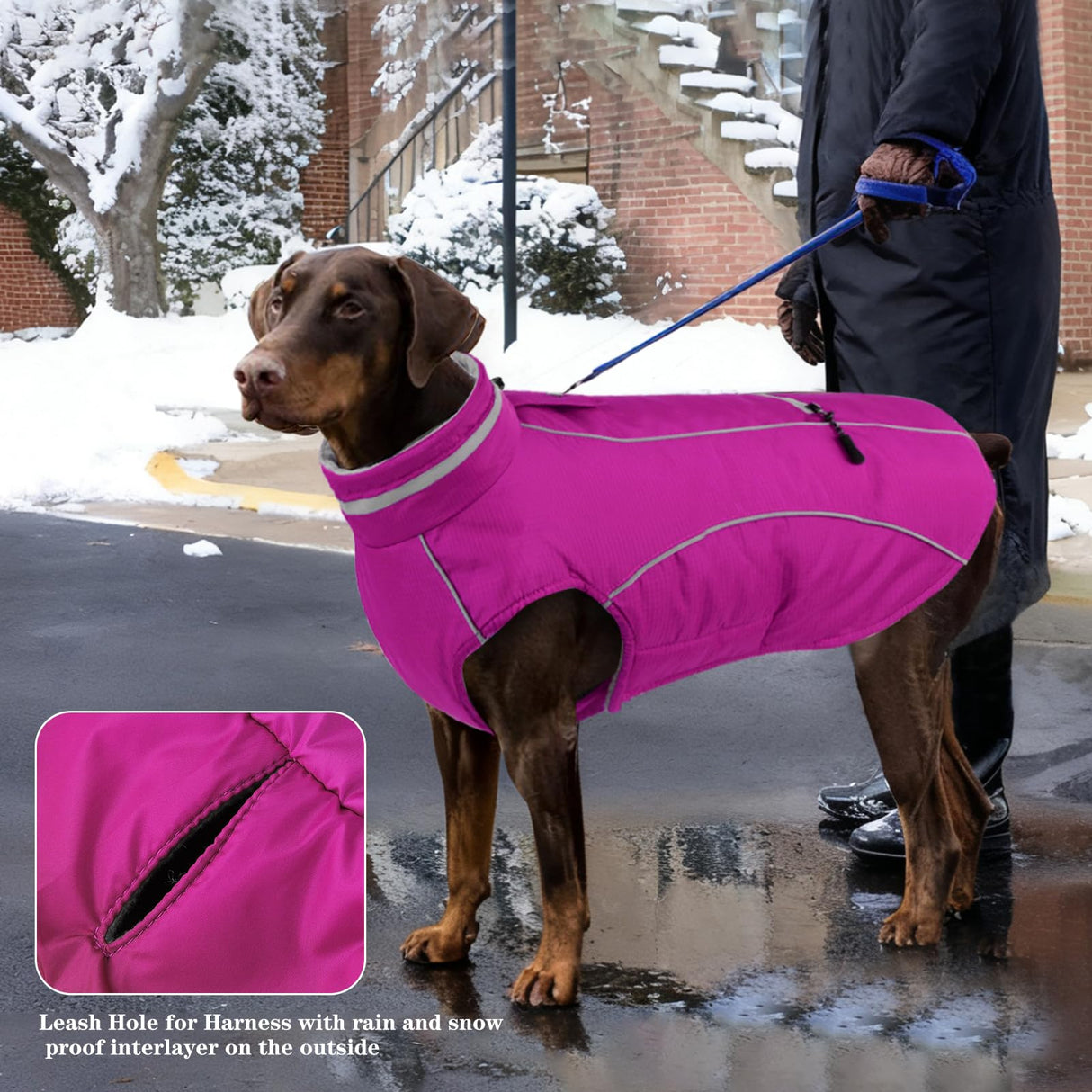 Doglay Waterproof Dog Coat, Reflective Dog Winter Jacket with Pocket & Turtleneck, Warm Puppy Snow Jacket for Small Medium Large Dogs - Pink, XL