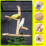Pecirvoli Natural Wood Bird Perch & Play Stand for Parakeets/Cockatiels - Multi-Level Cage Accessory with Training Branch