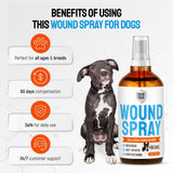 Silver Dog Wound Spray Helps with Hot Spots, Irritations, Bites, Burns, Rashes, Itch, Scratching – Better Use with a Dog Cone to Stop Licking – Safe for Large and Small Breeds – 4 oz