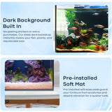 Wonderfactory 5 Gallon Small Aquarium Set Glass Fish Tank 6 Gallon, Starter Kit with Heater Water Pump Cleaning System Filter Bright Light Rocks Gravel Cleaning Tool, Clear Rimless Betta Plants