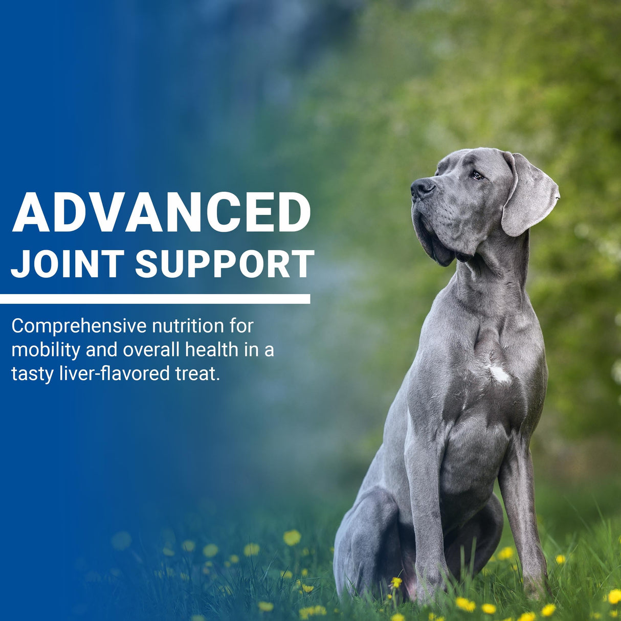 VPS SynovialMax Hip & Joint Soft Chews for Dogs, 240 count