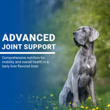 VPS SynovialMax Hip & Joint Soft Chews for Dogs, 240 count