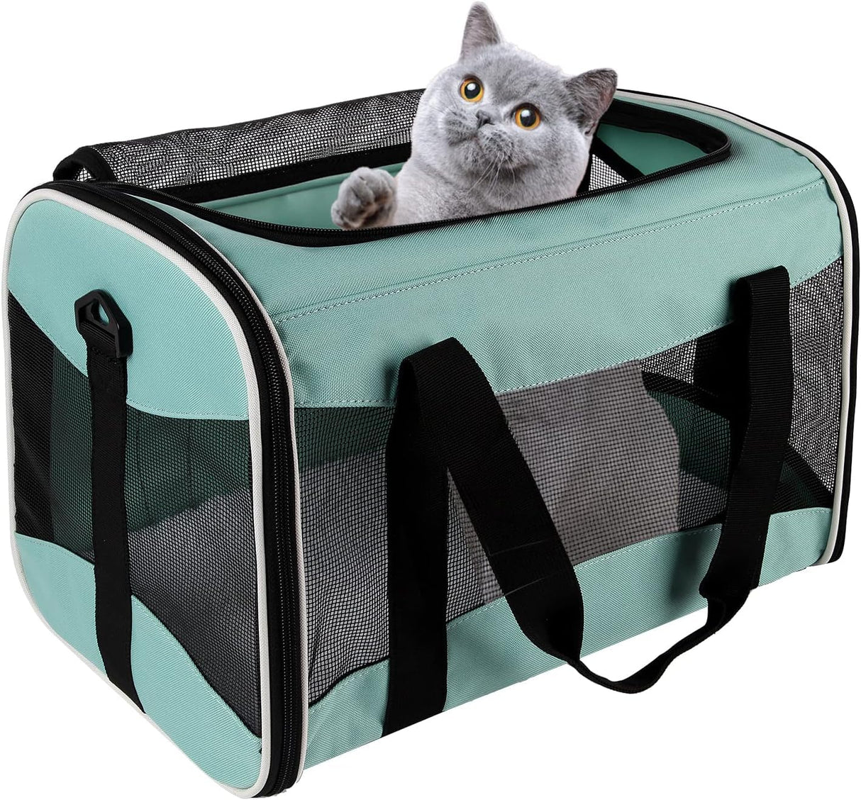 Small Animal Travel, Carrier for Hedgehog Rat Parrot Bird Guinea Pig, Lizards Carrier, Soft Sided Travel Carrier Portable Guinea Pig Up to 10 Lbs (15 * 10 * 10, Green)