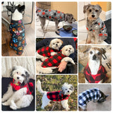 BEAUTYZOO Small Dog Sweater Fleece Vest Winter Jacket, D-Ring Leash Attachment for XS S Puppy Medium Sized Breeds Dogs, Cold Weather Dog Clothes Windproof Keep Warm, Black Bones Paw L