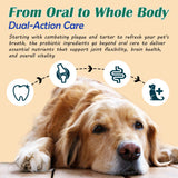 Senior Dog Dental & Supplement Powder - Contains Vitamin E, Glucosamine, Omega-3 and Probiotics - Effectively Removes Tartar Buildup, Supports Your Dog's Dental, Joint, and Digestive Health, 2.82 oz