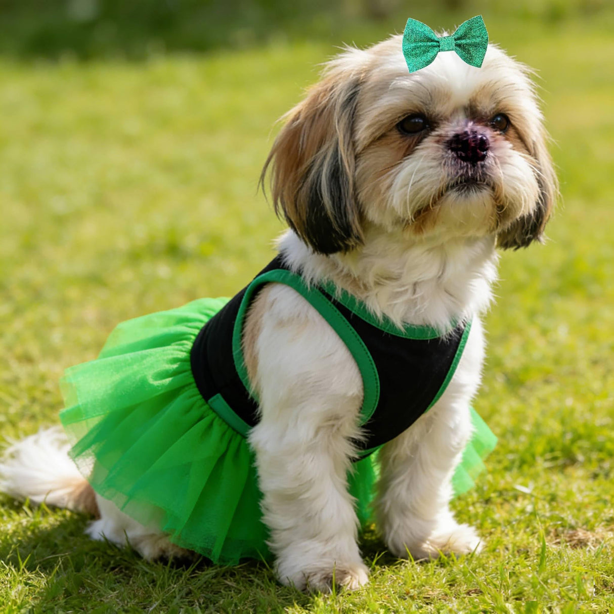 Small Dog St. Patricks Day Outfit Green Dress, Bandana & Bow Clip 3 Piece Irish Pet Cat Costume Accessories M