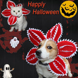 Pet Demon Hat Costume Scary Halloween Dog Headband Demogorgon Costume Headgear Props Cosplay Outfits Cute Clothes for Small Medium Dogs Puppy Cat Kitten Monster Headwear Devil Decorations