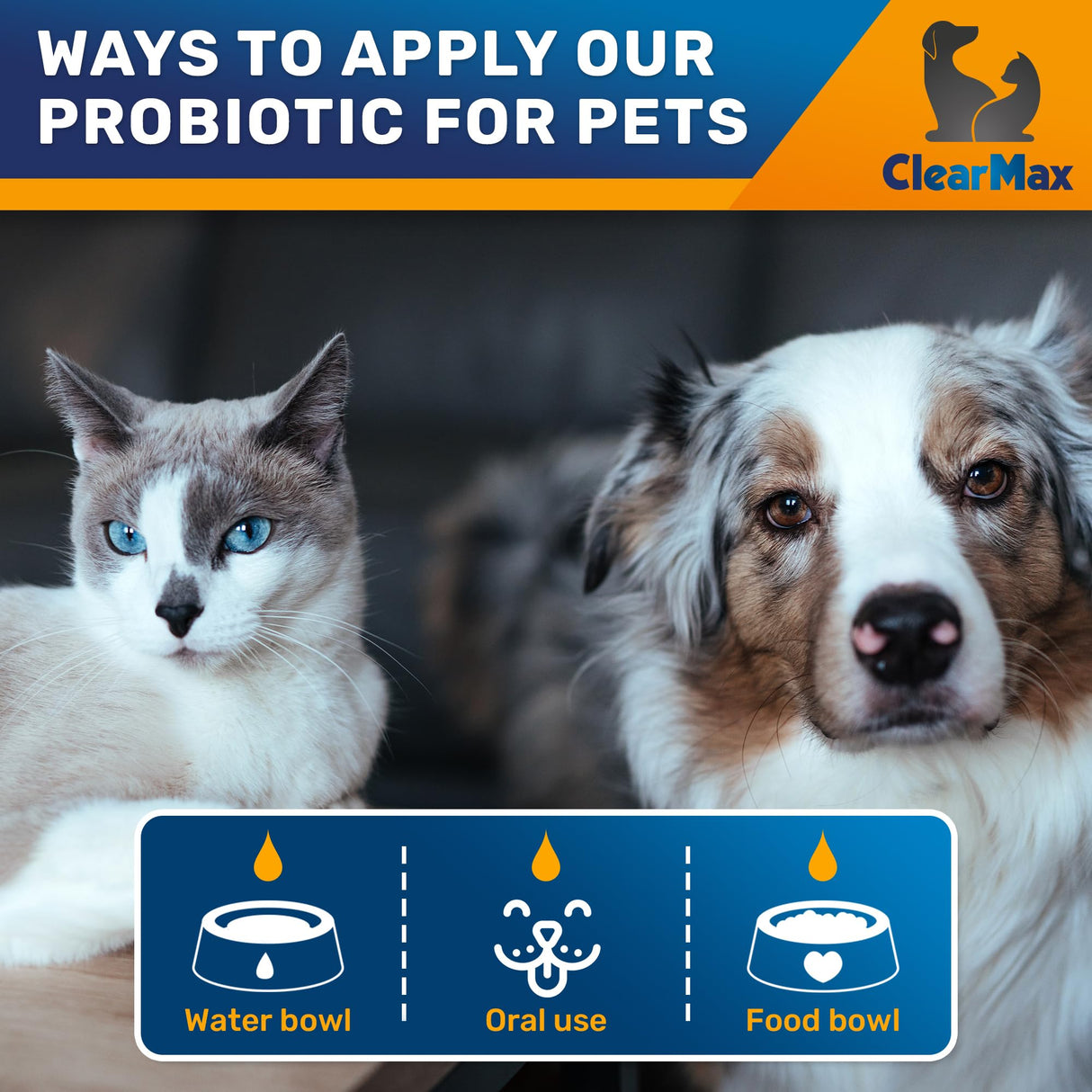 Liquid Probiotics for Dogs and Cats – 6 Billion CFU Pet Digestive Support – Dog Probiotics with Enzymes – Cat Probiotic Supplement – 2-oz Bottle
