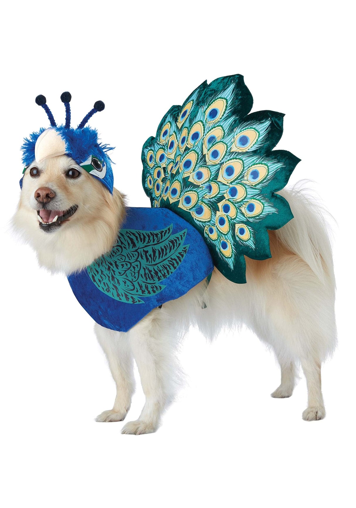 California Costumes, Pretty as a Peacock Pet Costume Large