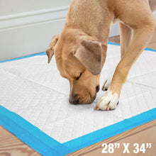 Load image into Gallery viewer, Four Paws Wee-Wee Superior Performance Unscented Extra-Large Pee Pads for Dogs &amp; Puppies, Quilted Leak-Proof Dog Housebreaking Potty Training Floor Protection, 28" x 34", 40 Count
