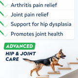 STRELLALAB Advanced Glucosamine Hip & Joint Supplement for Senior Dogs - Green Lipped Mussel & Collagen - Hip & Joint Pain Relief - Large & Small Breed - Joint Health - Bacon - 120 Chews
