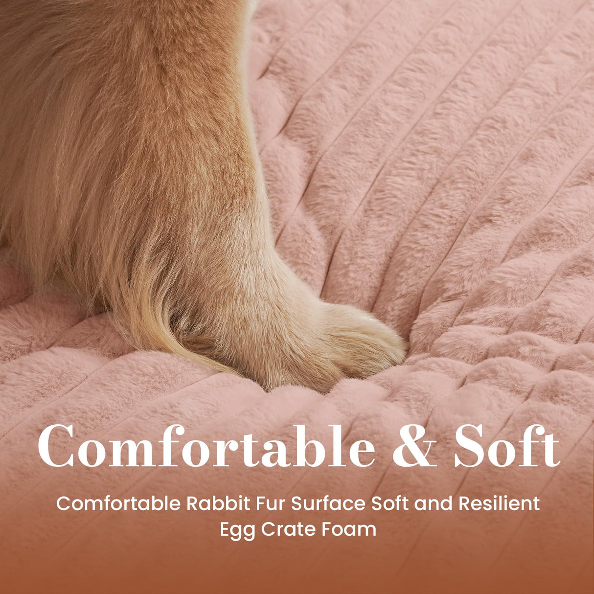 Cozila Orthopedic Dog Bed Medium Size Dog, Pet Beds with Waterproof Lining, Soft Short Plush Surface & Egg Crate Foam, Machine Washable Pet Mat with Removable Cover & Anti Slip Bottom