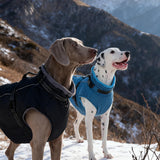 PUMYPOREITY Snow Jacket for Large Dogs Waterproof, Warm Dog Winter Coat with Harness Built in, Fleece Jacket with Back Zipper, Cold Weather Coats for Outdoor, Windproof Pet Snowsuit, Blue, 3XL