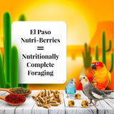 LAFEBER'S El Paso Nutri-Berries Pet Bird Food, Made with Non-GMO and Human-Grade Ingredients, for Small Birds, 10oz (Pack of 2)