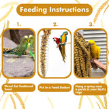 Jmxu's Spray Millet Treat for Birds Parakeets, Natural Sun-Dried Birds Millet for Cockatiel, Budgie, Finches, Parrots, Hamster