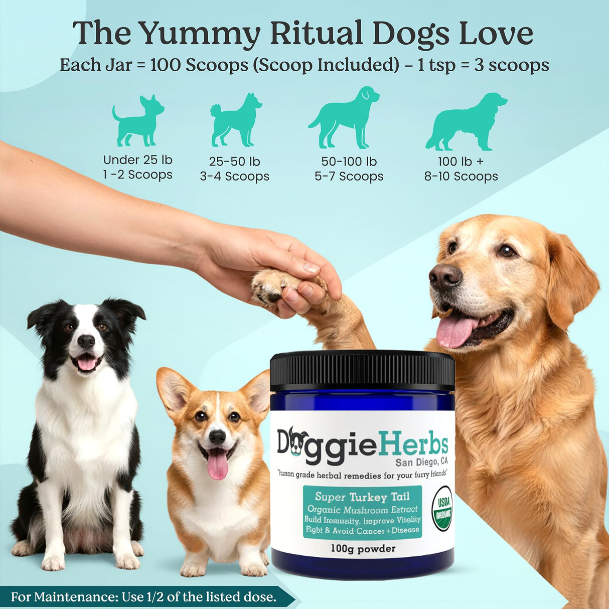 Doggie Herbs Organic Super Turkey Tail Mushroom Powder for Dogs- High Potency 550mg Beta Glucans Per Scoop- 100% Fruiting Body Extract (No Mycelium/Grain)- Immune Defense- Human Grade K9 Supplement