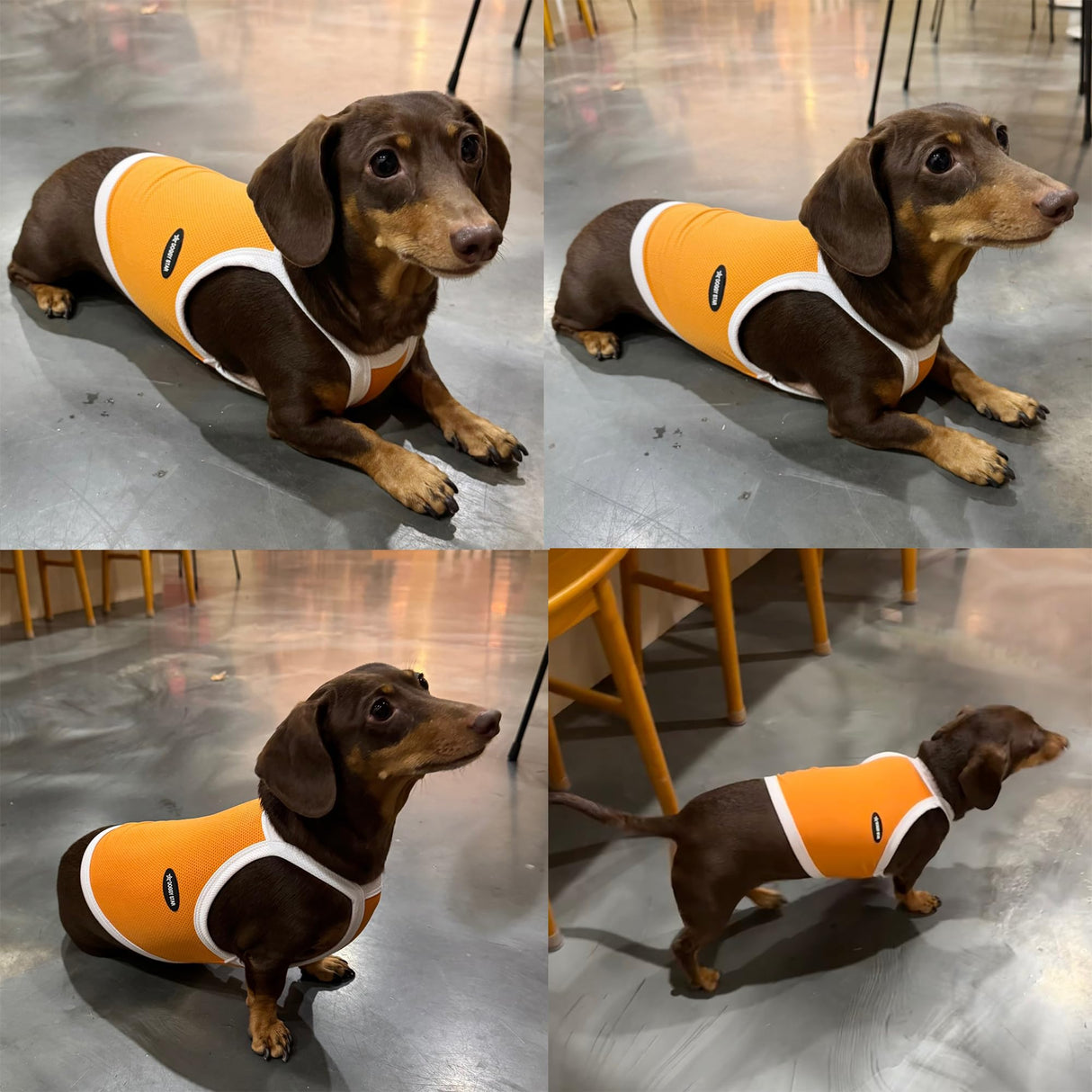 D Doggy Star Dachshund Clothes Spring Summer Cooling String T Shirt Crop Top for Dogs (L,Camisole Orange)