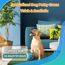 Load image into Gallery viewer, STARROAD-TIM 43.5 x 29.8 inches Fake Grass Pee for Dogs Artificial Grass Rug Pad for Puppy Potty Washable Grass Mat for Pet Training with Drainage Hole
