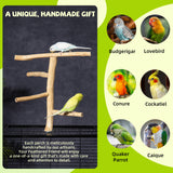 Pecirvoli Natural Wood Bird Perch & Play Stand for Parakeets/Cockatiels - Multi-Level Cage Accessory with Training Branch
