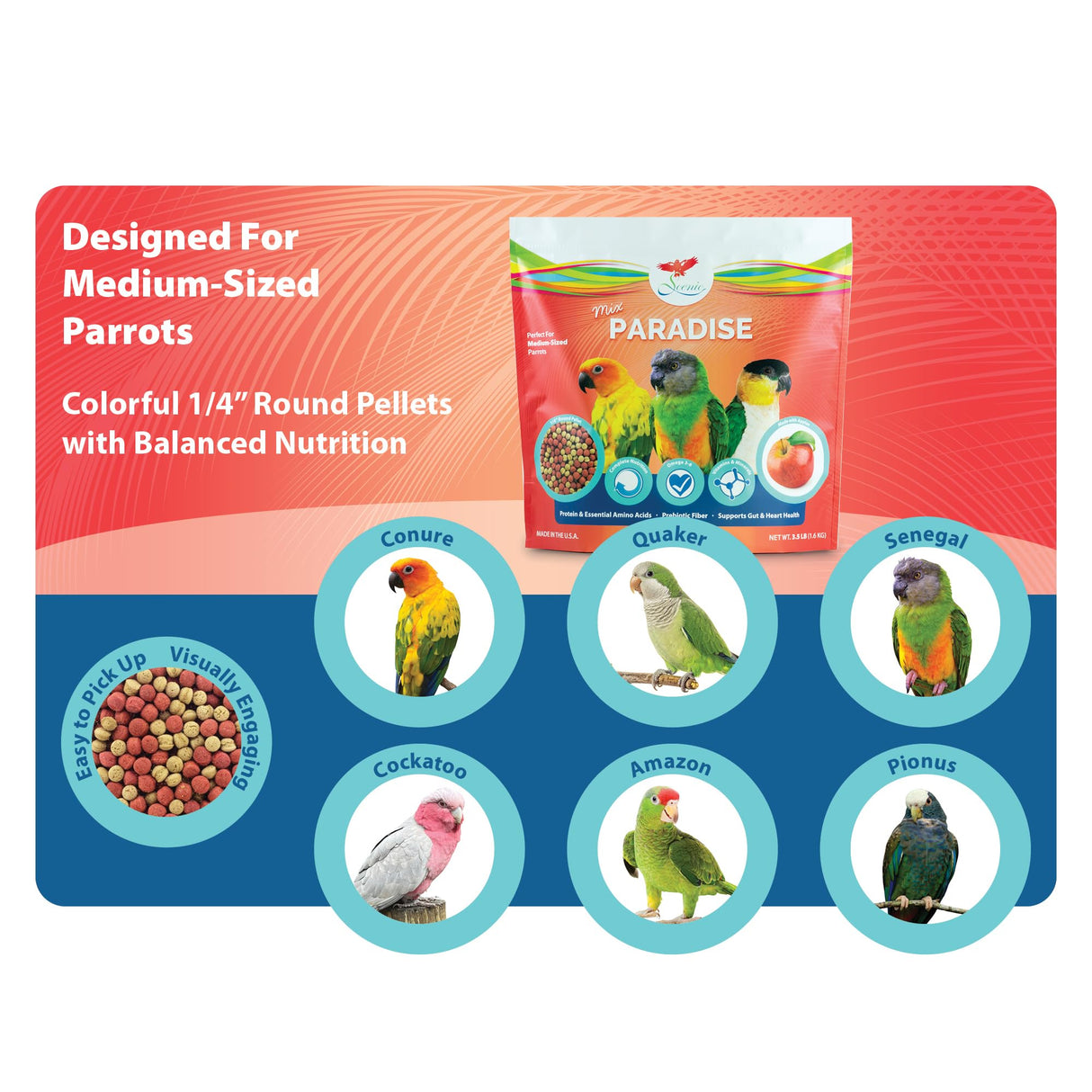 Scenic Mix Paradise Medium Parrot Food - 3.5 lb Bag - 1/4" Bird Pellets - Complete Nutrition for Sun Conures, Pionus, Senegals, Caiques & More
