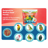 Scenic Mix Paradise Medium Parrot Food - 3.5 lb Bag - 1/4" Bird Pellets - Complete Nutrition for Sun Conures, Pionus, Senegals, Caiques & More