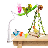 ZooVibe Bird Perch Stand with Swing, Desktop Bird Toy & Stand for Interacting, Interactive Playground for Sun Conure, Lovebirds, Conure, Budgie, Cockatiel - Non-Slip Adjustable Perch