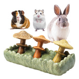 TEEWY Guinea Pig Chew Toys, Prevent Teeth Overgrowth, Natural Timothy Grass & Vegetables, Hamster Chew Toys, Guinea Pig Toys, Chinchilla Toys, 4PCS, Grass Patch & Mushrooms