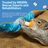 Baby Squirrel Formula Kit,100% Instantized for Mixing Digestible Proteins, Milk Replacer for Squirrel, Rabbit, Opossum, with Feeding Syringes(280 g)