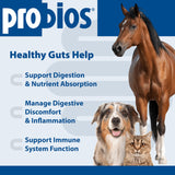 Probios Digestive Support Probiotic for All Species, Probiotics for Gut Health, Dispersible Powder, 240 gm (Pack of 2)