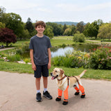 Adjustable Dog Suspender Boots with Attached Waterproof Paw Protectors, Non-Slip Summer Hiking Shoes for Rainy Days and Night Safety with Reflective Design (Orange, XS)