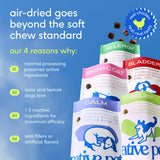 Native Pet Calming Chews for Dogs - Melatonin for Dogs Anxiety Relief - Grain Free All Natural Hemp Calming Treats & L-Theanine Helps Manage Stress & Separation Anxiety - Puppy Sleep Aid - 60 Chews
