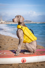 NOAH & PAW Dog Life Jacket, Human Standards Lifejacket Design, Dog Life Vest for Swimming and Boating, 3X Foam Support for Max Floating, Breathable Mesh, Salvavidas para Perros, Size M