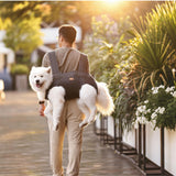 Terapaton Dog Lift Harness Backpack Carrier for Large Dogs, Full Body Sling with Handle, Dog Harness for Joint Injuries, Arthritis, Ideal for Stairs, Elderly Dogs (Black S/M-Large 14-20 LBS)