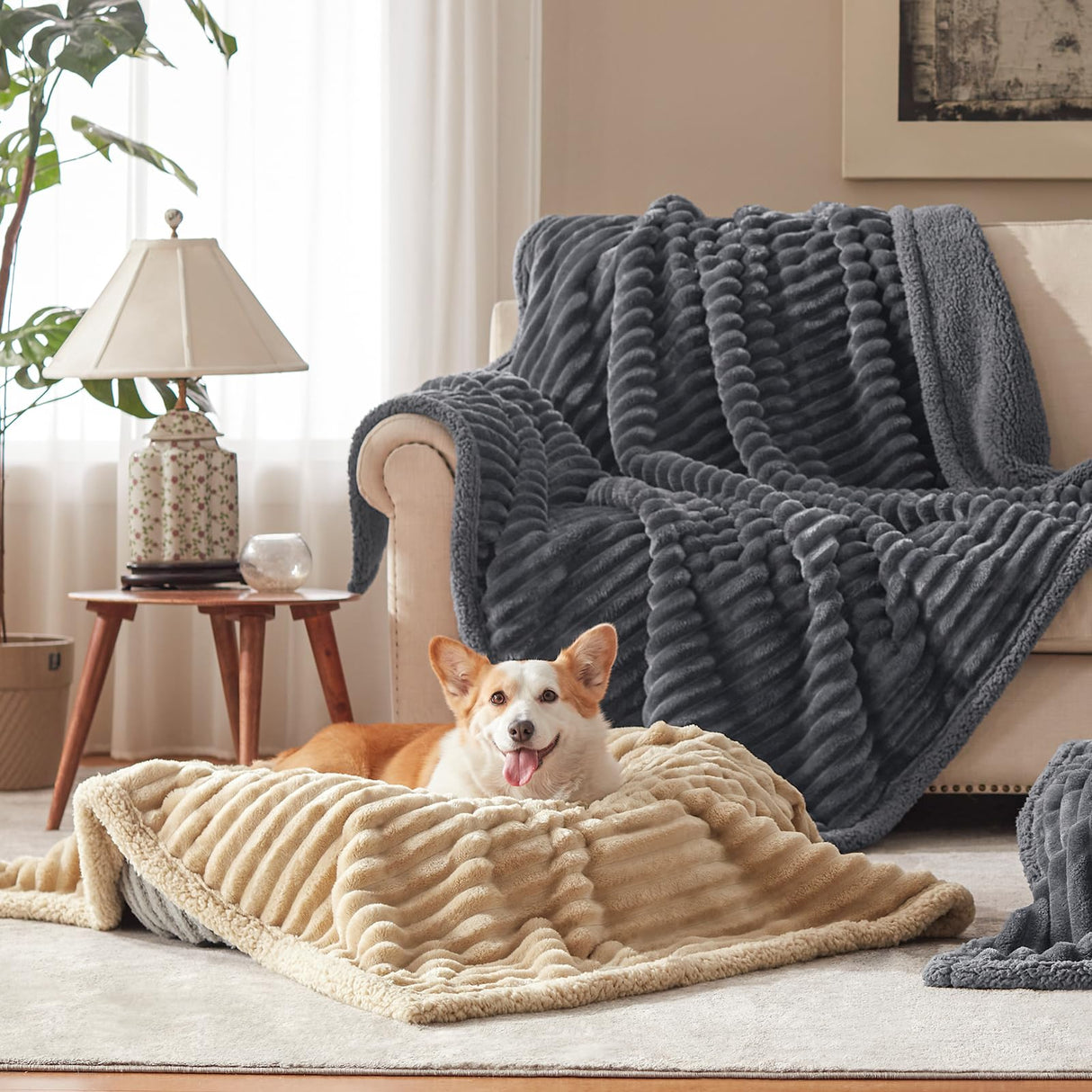 AIPERRO Waterproof Dog Blanket for Large Dogs, Washable Soft Puppy Cat Blanket Flannel Cotton Velour for Sofa Couch Protector, Comfort & Security Reversible Bed Protection for Pet, 60"X80", Gray