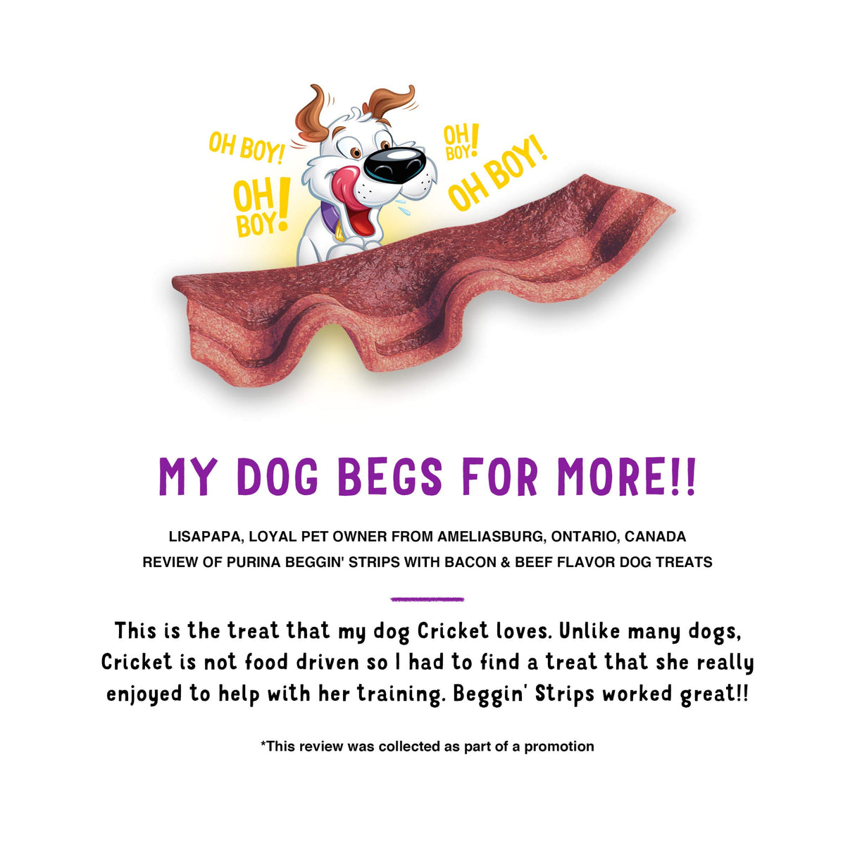 Purina Beggin' Strips With Real Meat Dog Treats With Bacon and Beef Flavors - (Pack of 2) 26 oz. Pouches
